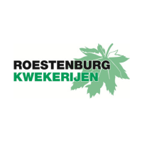 Roestenburg